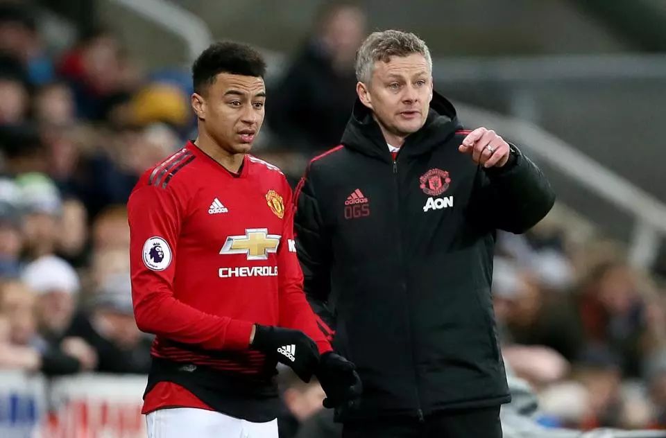 规定缴纳 规定缴纳