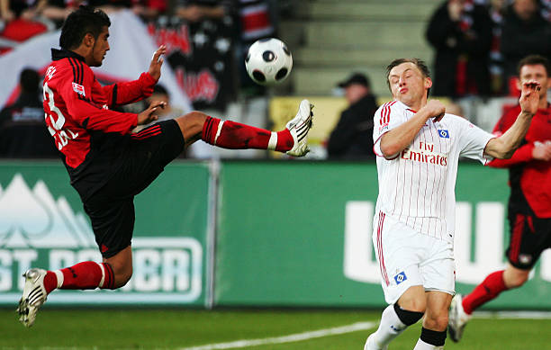 供了一些关 供了一些关